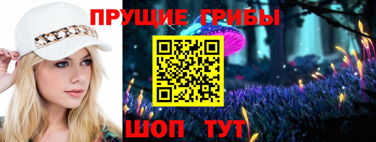 Галлюциногенные грибы Cubensis Архангельск